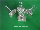 Spring Nut/stainless steel nut